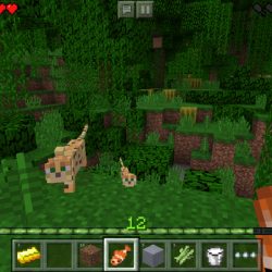Minecraft for iphone
