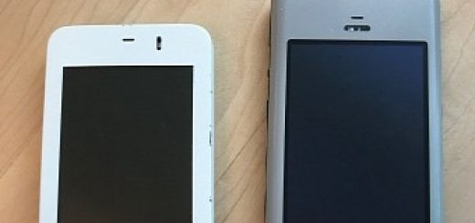 Original iphone prototypes called wallabies revealed