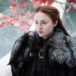 Sansa stark hd background